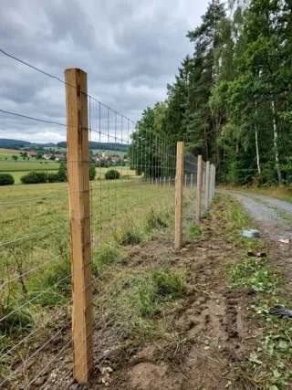 Wildzaun in Nürnberg - fachgerechte Ausführung vor Ort